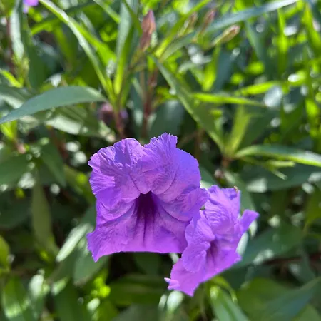 Ta Skorba Mgarr L-Imgarr