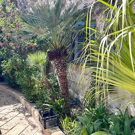 Ta Skorba Mgarr Gospodarstwo wiejskie L-Imgarr