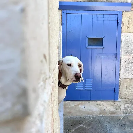 Ta Skorba Mgarr Gospodarstwo wiejskie L-Imgarr