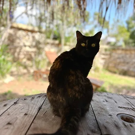 Ta Skorba Mgarr Casa de Campo *