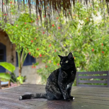 Ta Skorba Mgarr Venkovský dům