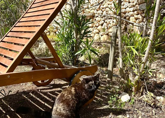 Landhuis Ta Skorba Mgarr L-Imgarr