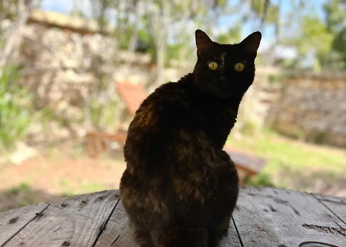 Ta Skorba Mgarr Landhuis *